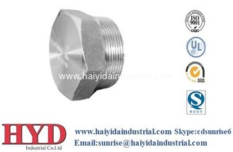 China Forged Fittings stainless steel fitting Bushing supplier